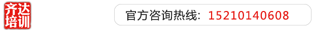 屄淫视频齐达艺考文化课-艺术生文化课,艺术类文化课,艺考生文化课logo